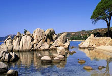 开云体育APP下载-丹麦队横扫泰国队，马琳高光表现